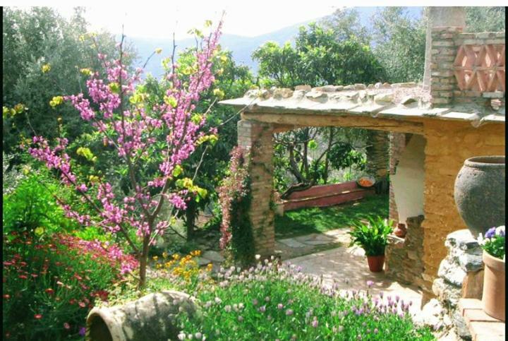 Cortijo Cañuelo Bayacas Exterior foto